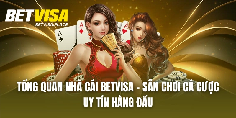 Betvisa - Trang Game Giải Trí Đẳng Cấp Bậc Nhất 2025 22 Tổng Quan Nhà Cái BETVISA - Sân Chơi Cá Cược Uy Tín Hàng Đầu